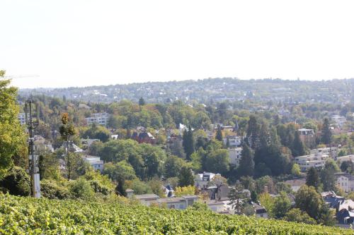 Bilder Wiesbaden-024